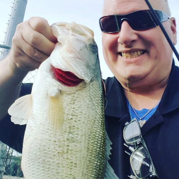 blulinebaits